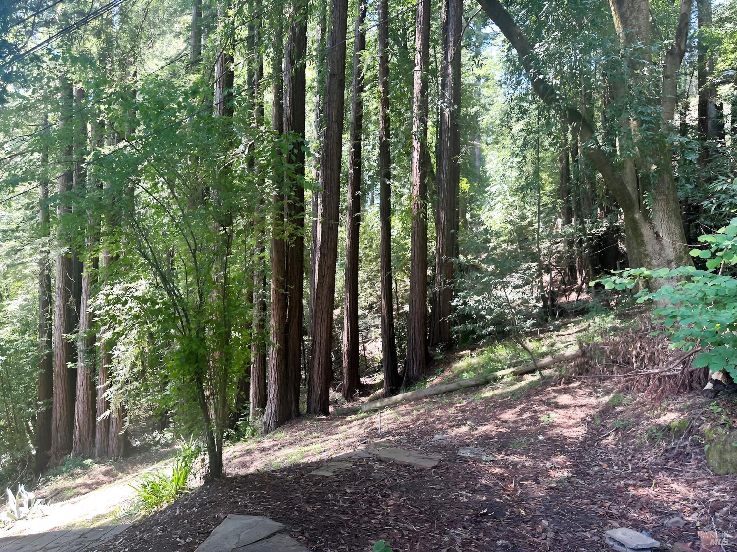 18349 Neeley Road Guerneville, CA 95446 - Photo 6 of 15