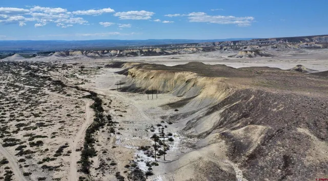 a view of a dry yard with wooden fence