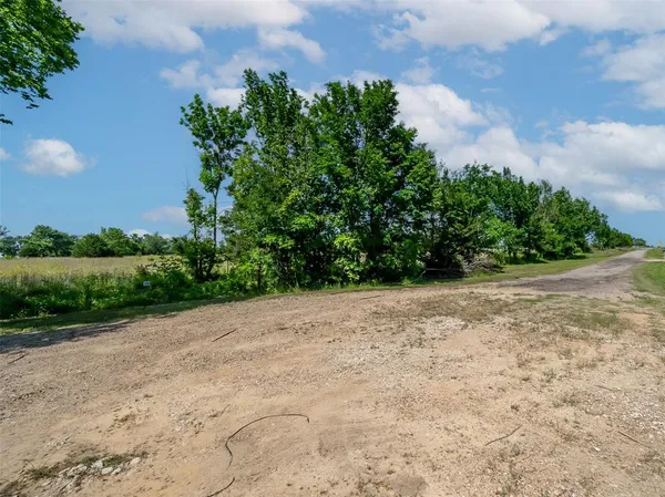 a view of a plants with yard