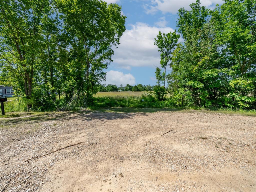 23070 County Road Powderly, TX 75473 - Photo 5 of 33