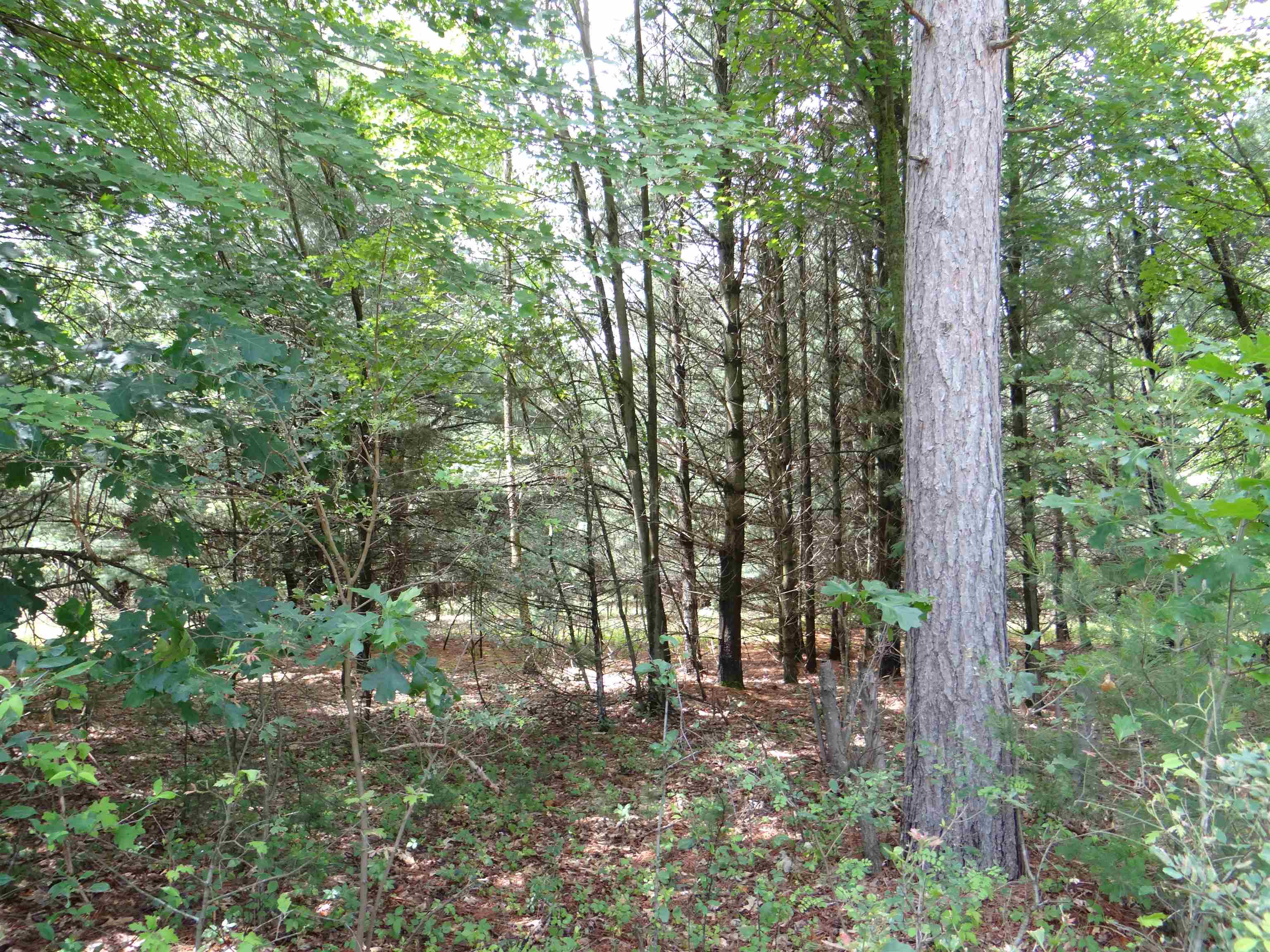 N1771 County Rd EE Redgranite, WI 54970 - Photo 30 of 33