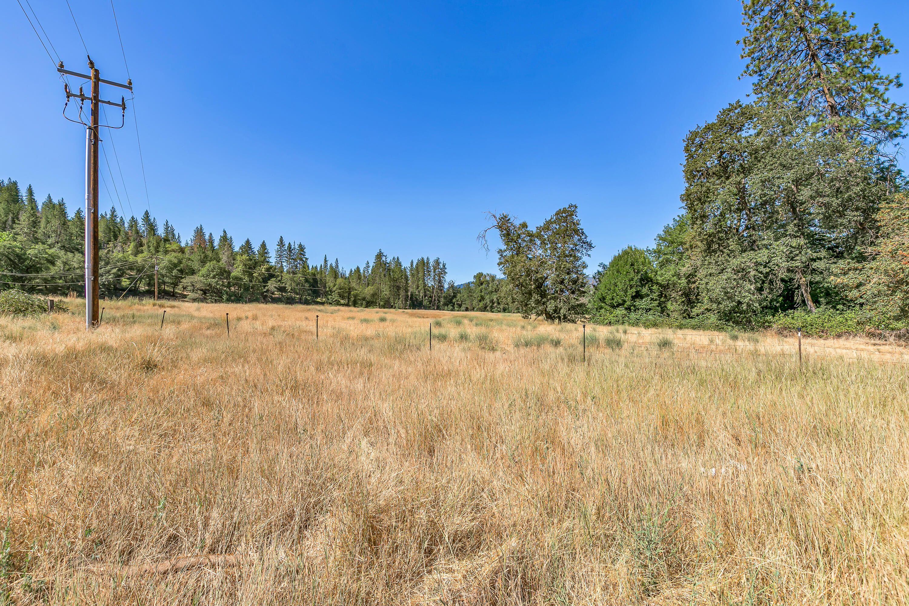 9820 East Evans Creek Road Rogue River, OR 97537 - Photo 21 of 58 9R9A5535
