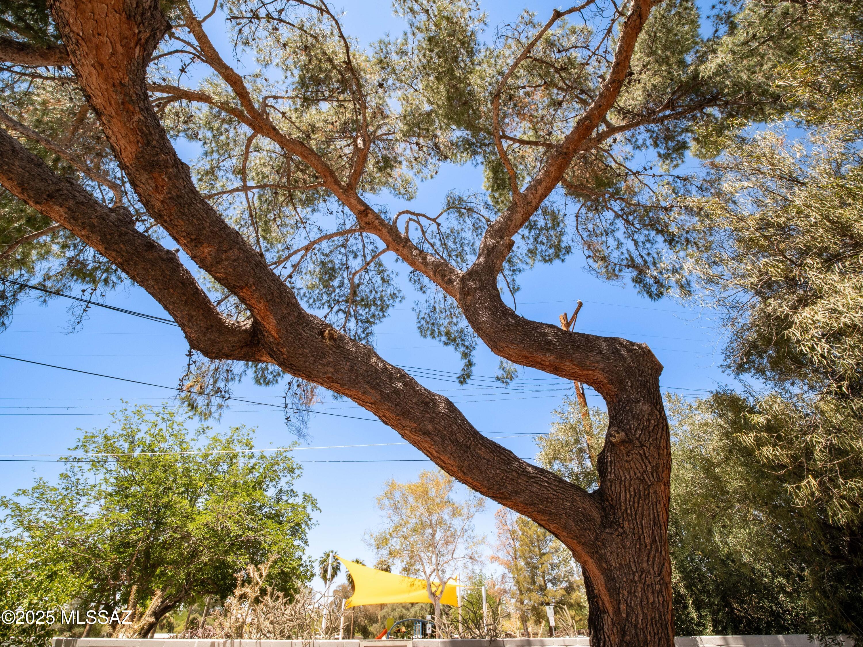 1825 North Ridgeway Road Tucson, AZ 85712 - Photo 44 of 50 Gallery Image 44