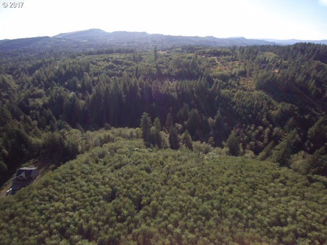 0 Northeast Thompson Road Yacolt, WA 98675 - Photo 11 of 23 Gallery Image 11