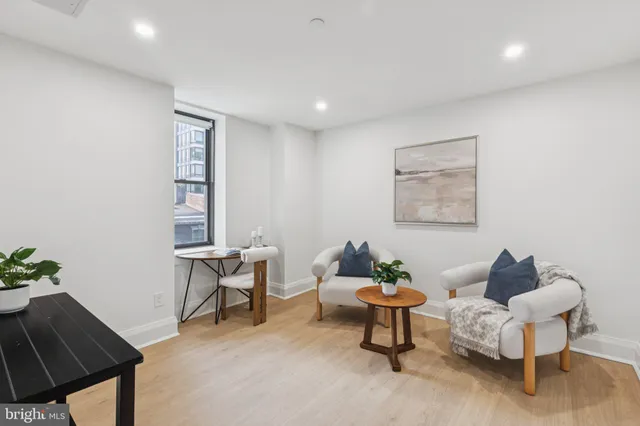 a living room with furniture and a potted plant