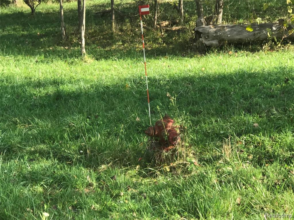 0 Brewster Road Rochester, MI 48309 - Photo 6 of 11