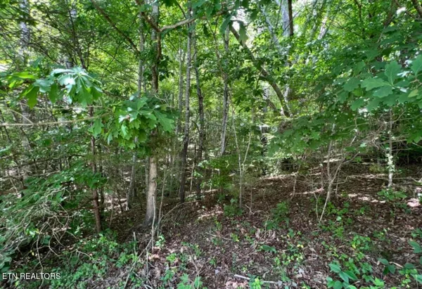 $27,900 | Lot 8 Presidential Boulevard, Harrogate, TN 37752