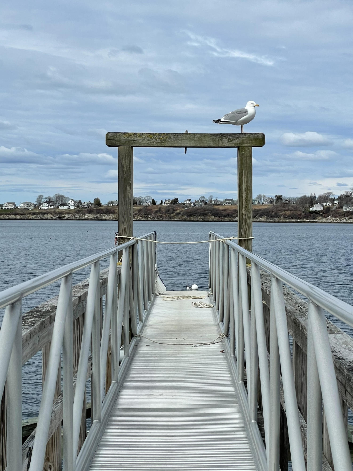 31 West Shore Road Bailey Island, ME 04003 - Photo 39 of 42 Dock