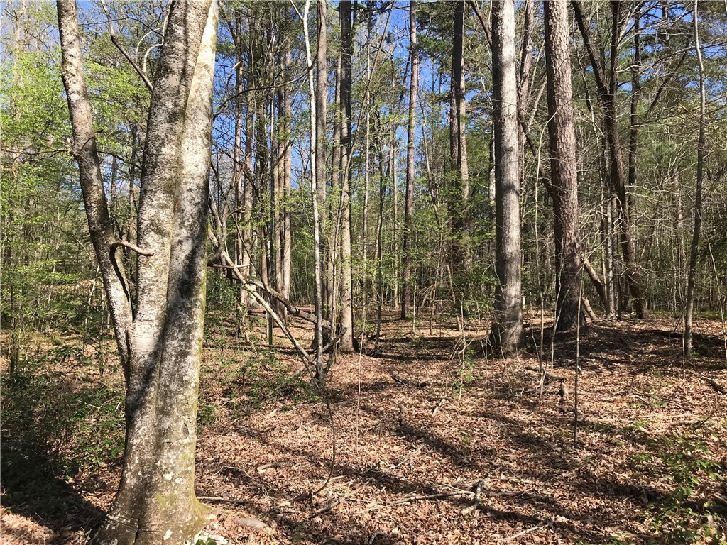 0 Sliding Rock Road Pickens, SC 29671 - Photo 20 of 23 Gallery Image 20