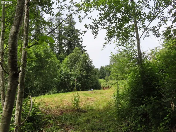 $129,900 | Coleman Road, Mossyrock, WA 98564