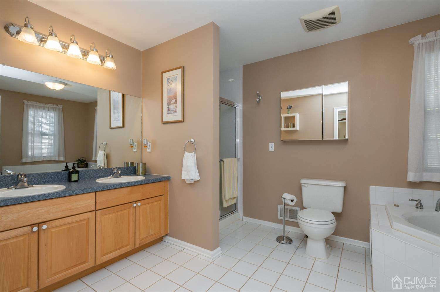 508 Grandview Street Middlesex, NJ 08846 - Photo 14 of 20 a spacious bathroom with a toilet sink and mirror