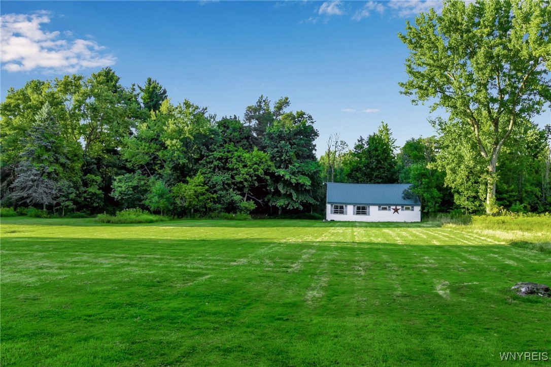 2271 Bullis Road Elma, NY 14059 - Photo 44 of 50 Yard