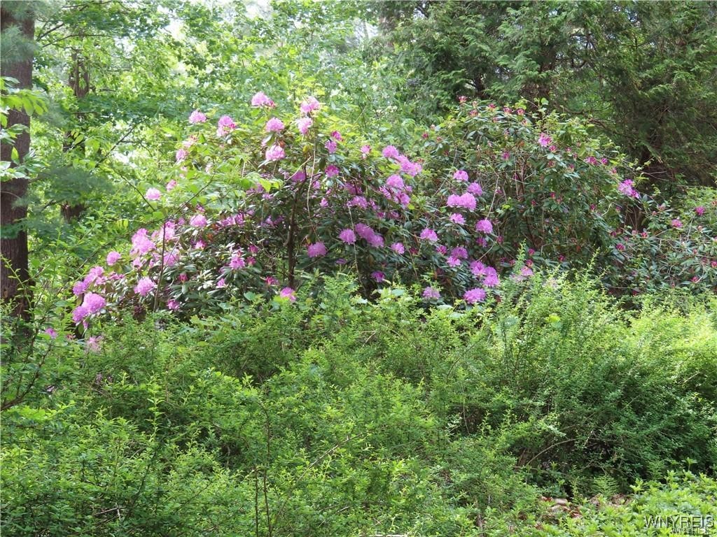 2271 Bullis Road Elma, NY 14059 - Photo 46 of 50 Flowers