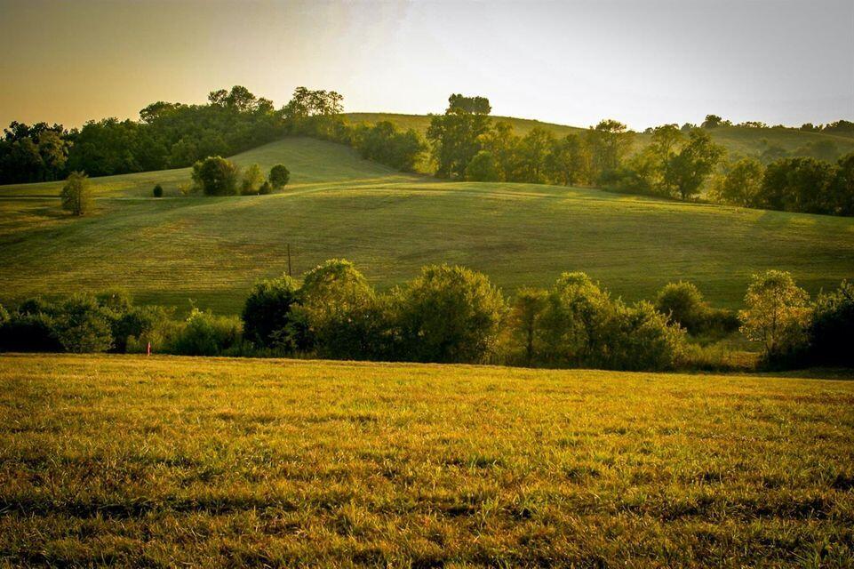 0 Deer Chase Road Danville, KY 40422 - Photo 20 of 21 pic 22
