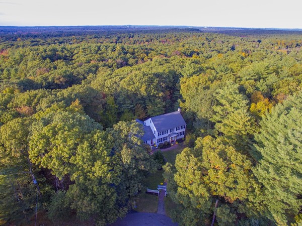 16 Tower Drive Dover, MA 02030 - Photo 37 of 42 a view of a yard with an outdoor space