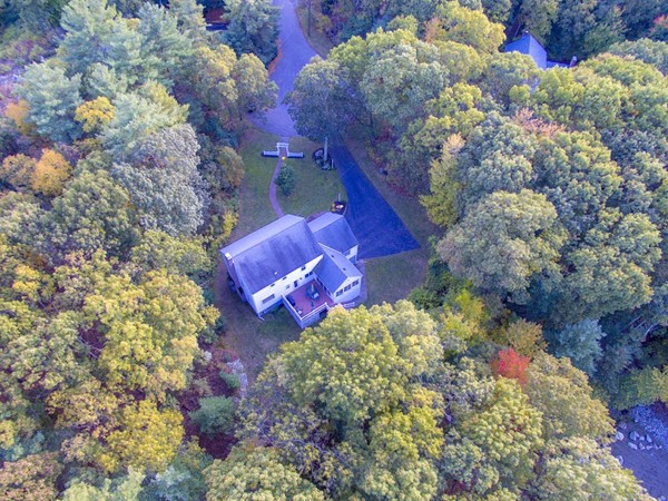 16 Tower Drive Dover, MA 02030 - Photo 39 of 42 a picture of flowers