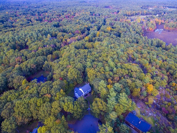 16 Tower Drive Dover, MA 02030 - Photo 41 of 42 a view of a city and flowers