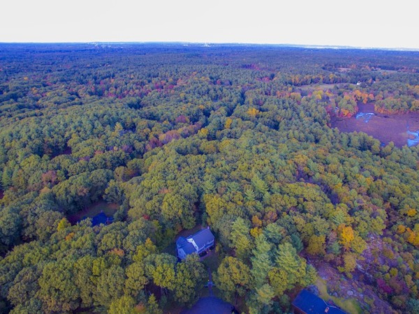 16 Tower Drive Dover, MA 02030 - Photo 42 of 42 an aerial view of residential houses with outdoor space and trees