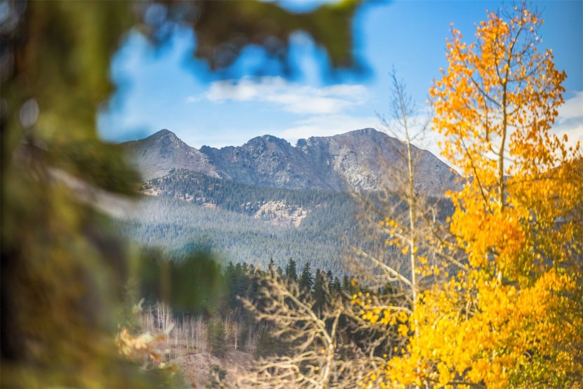 224 South Ridge Street Breckenridge, CO 80424 - Photo 27 of 45