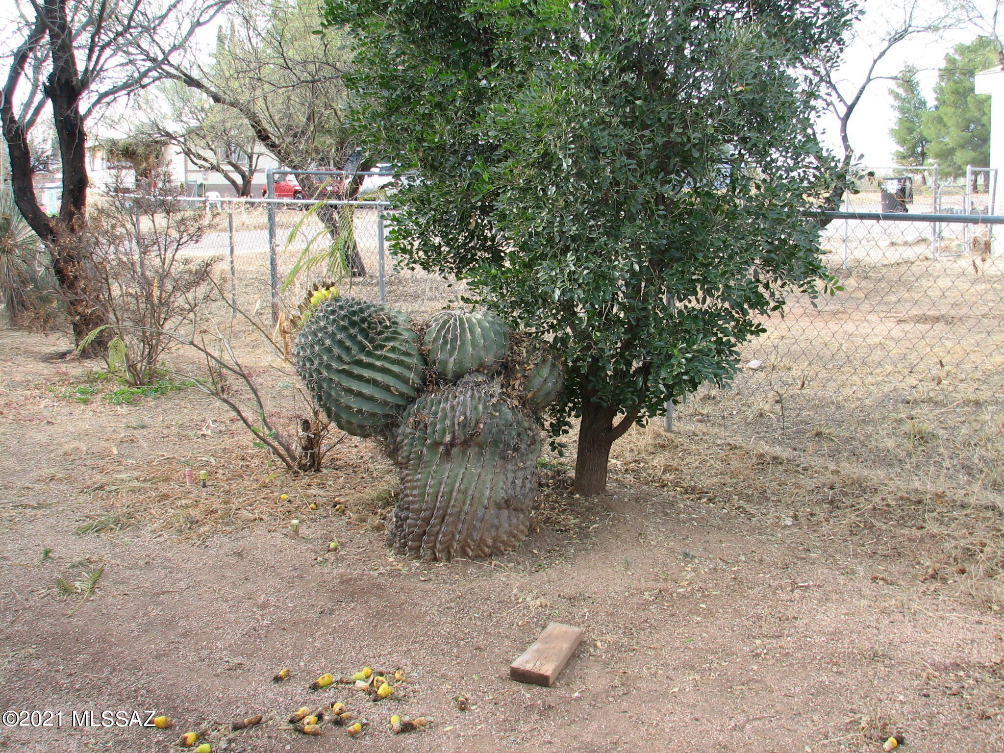 3180 West Citrus Road Benson, AZ 85602 - Photo 31 of 34 Gallery Image 31