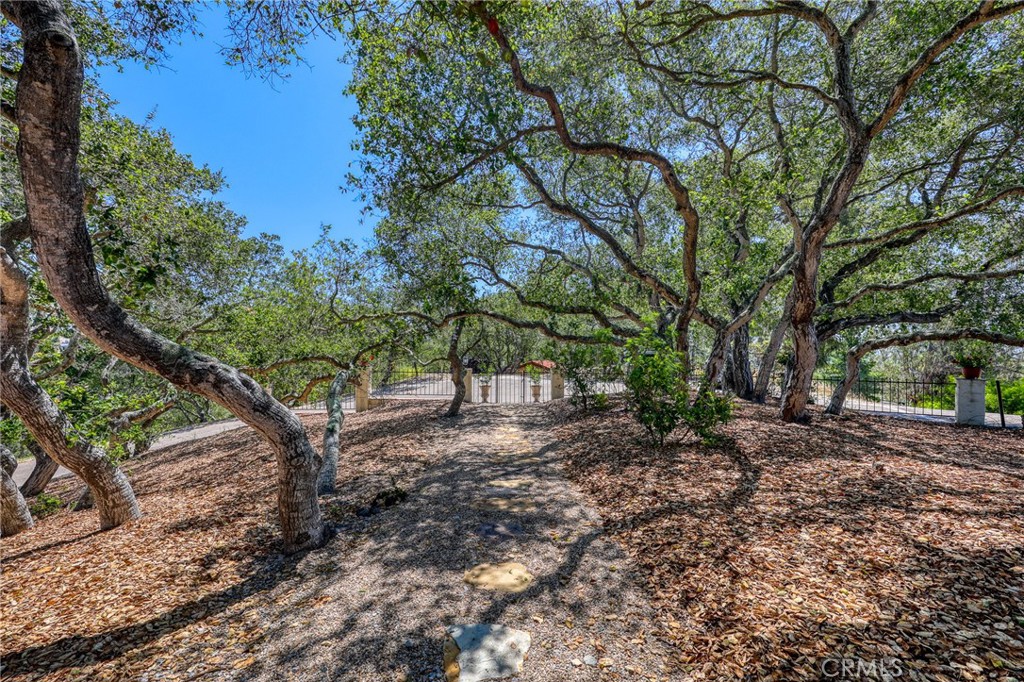 960 Buck Ridge Lane Arroyo Grande, CA 93420 - Photo 35 of 67