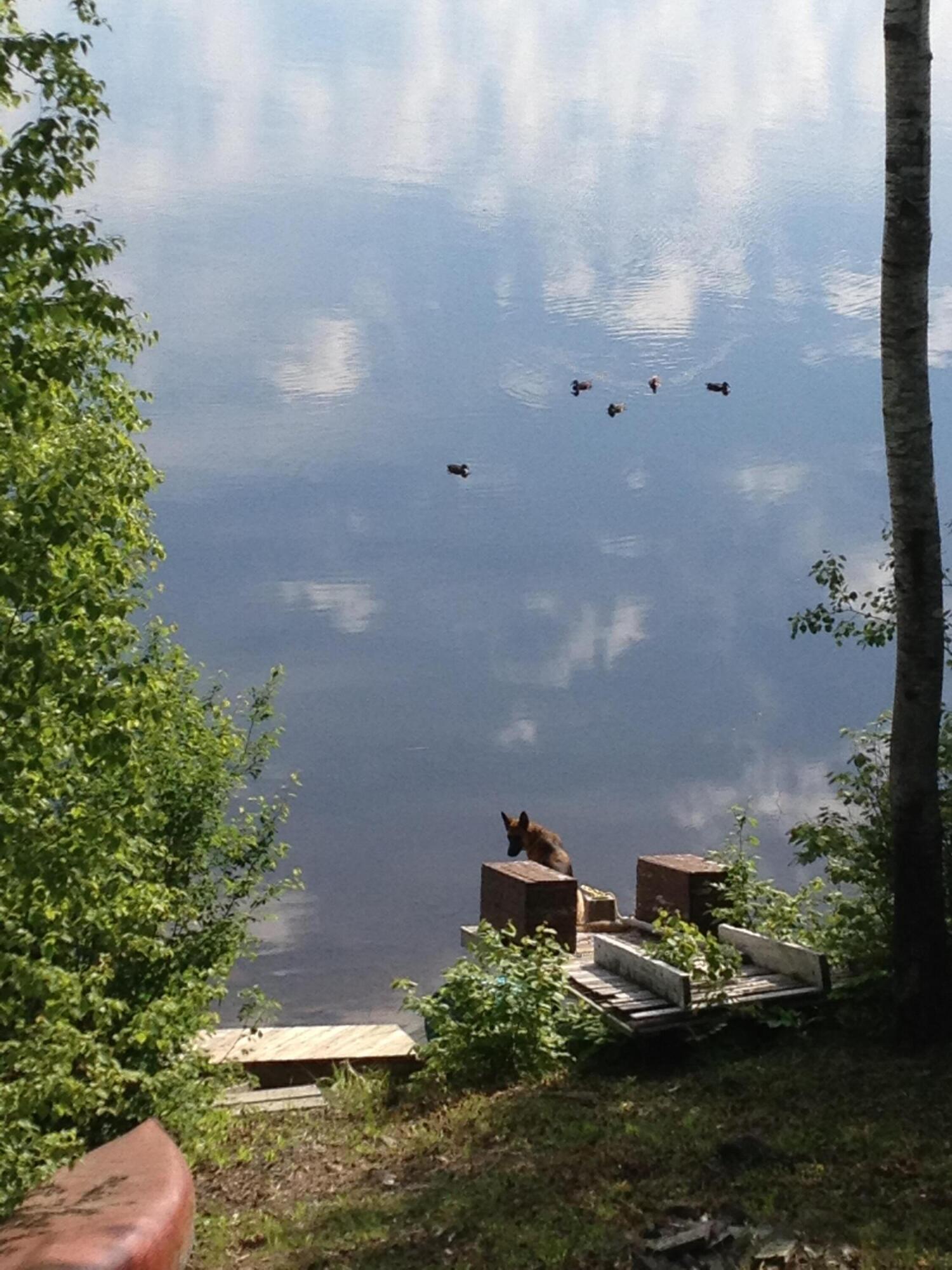7 Overlook Drive Berwick, ME 03901 - Photo 20 of 27 water
