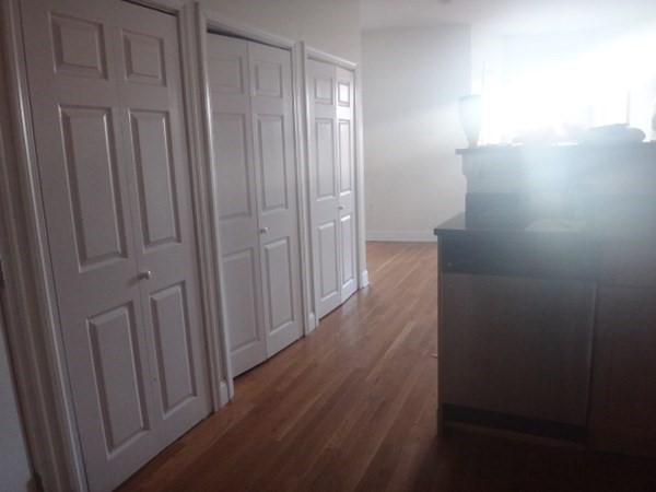 147 Marcella Street, Unit 3 Boston, MA 02119 - Photo 14 of 14