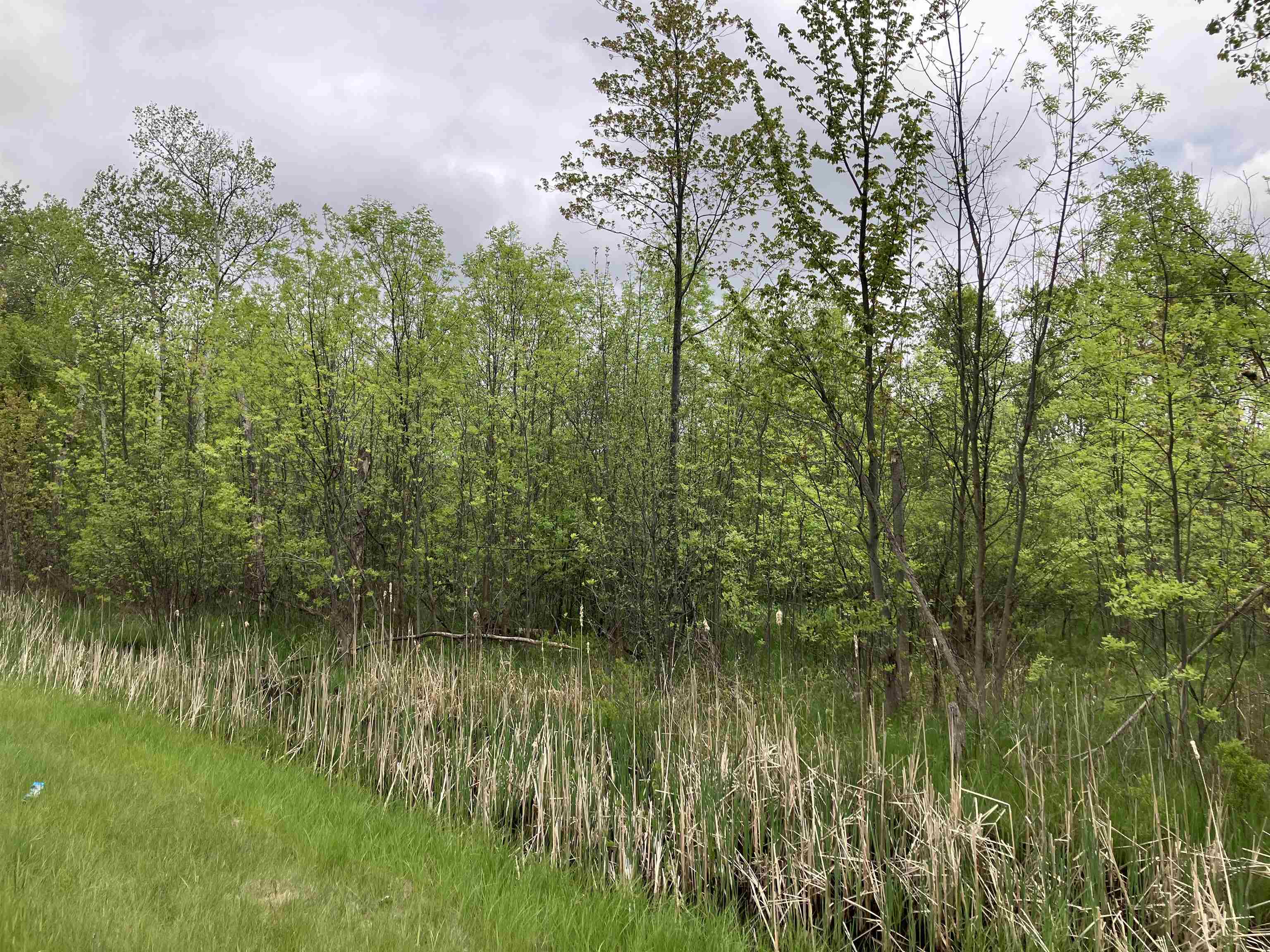 3.96-acres West Isabella Road Midland, MI 48640 - Photo 7 of 9