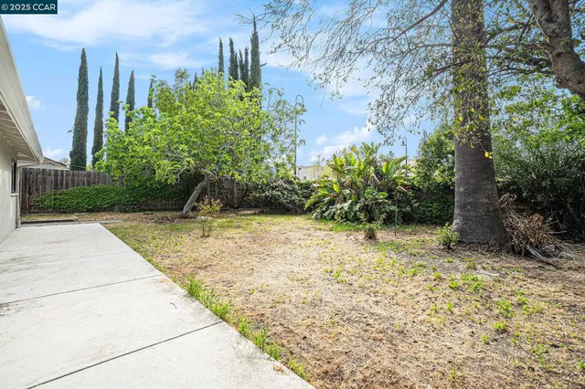 a view of a pathway with a yard