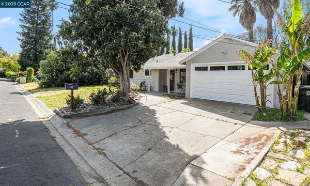 a view of a white house with a yard plants and large tree