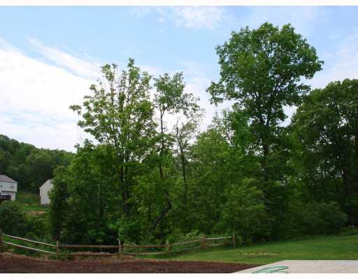 1059 Rural Ridge Drive Cheswick, PA 15024 - Photo 14 of 16 View.