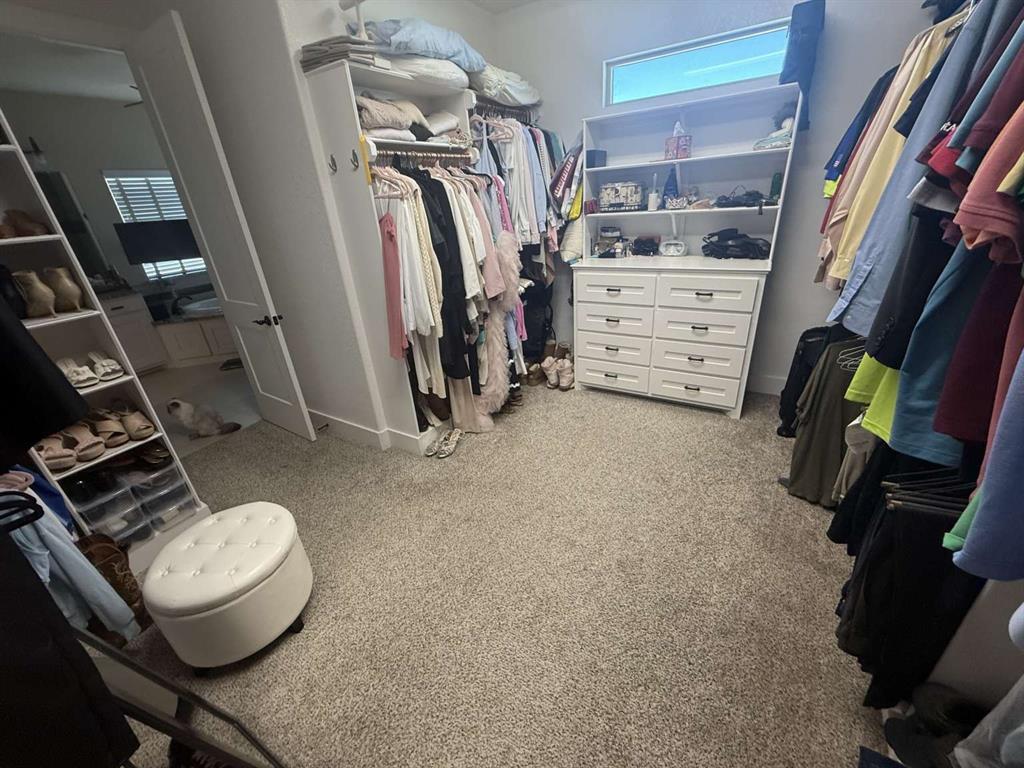 125 Lucky Ridge Lane Boyd, TX 76023 - Photo 13 of 29 Walk in closet with light carpet