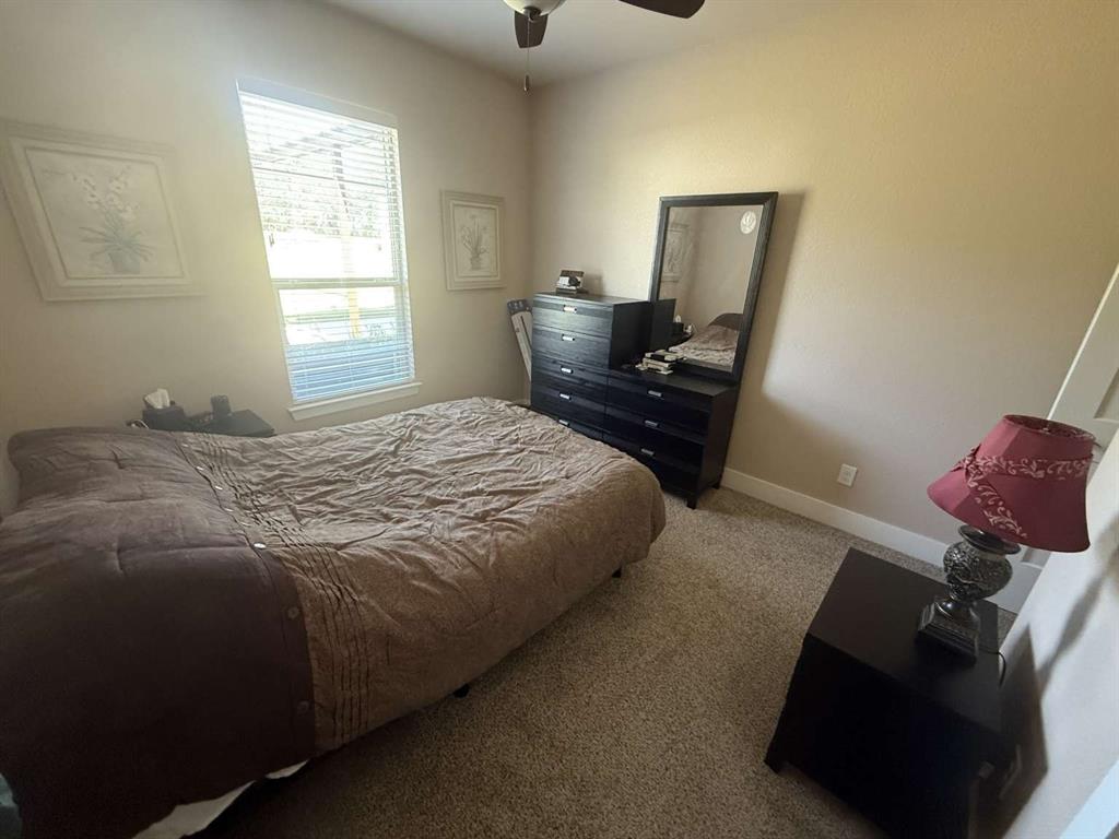 125 Lucky Ridge Lane Boyd, TX 76023 - Photo 29 of 29 Carpeted bedroom with baseboards and a ceiling fan