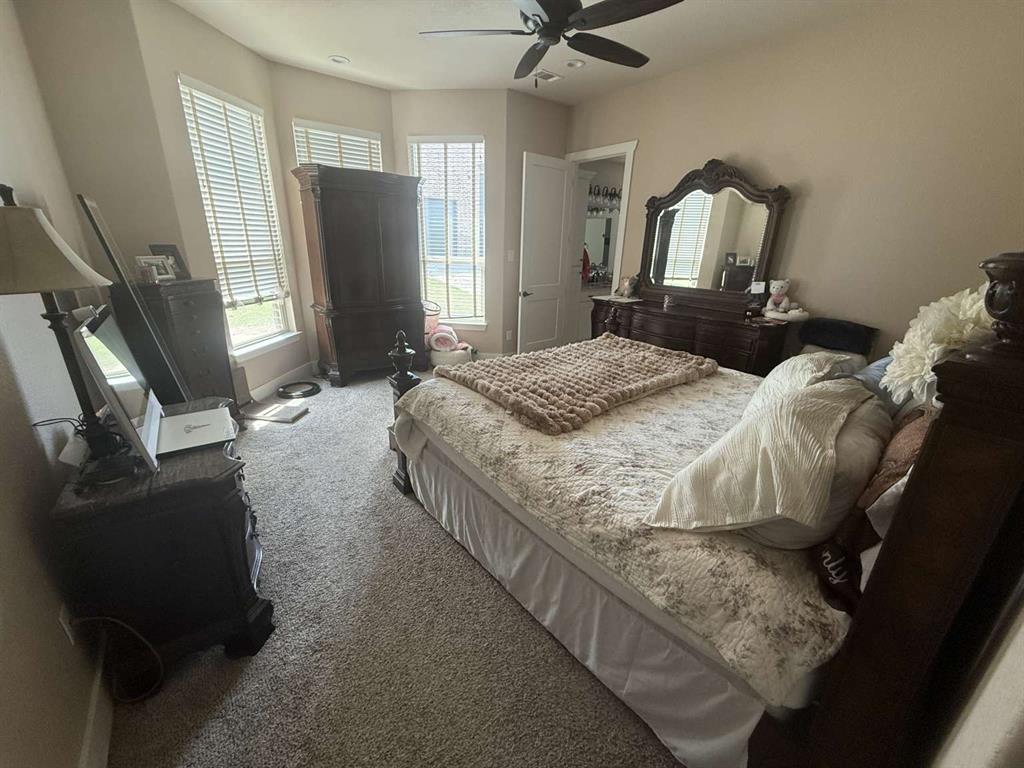 125 Lucky Ridge Lane Boyd, TX 76023 - Photo 9 of 29 Bedroom featuring carpet floors and a ceiling fan
