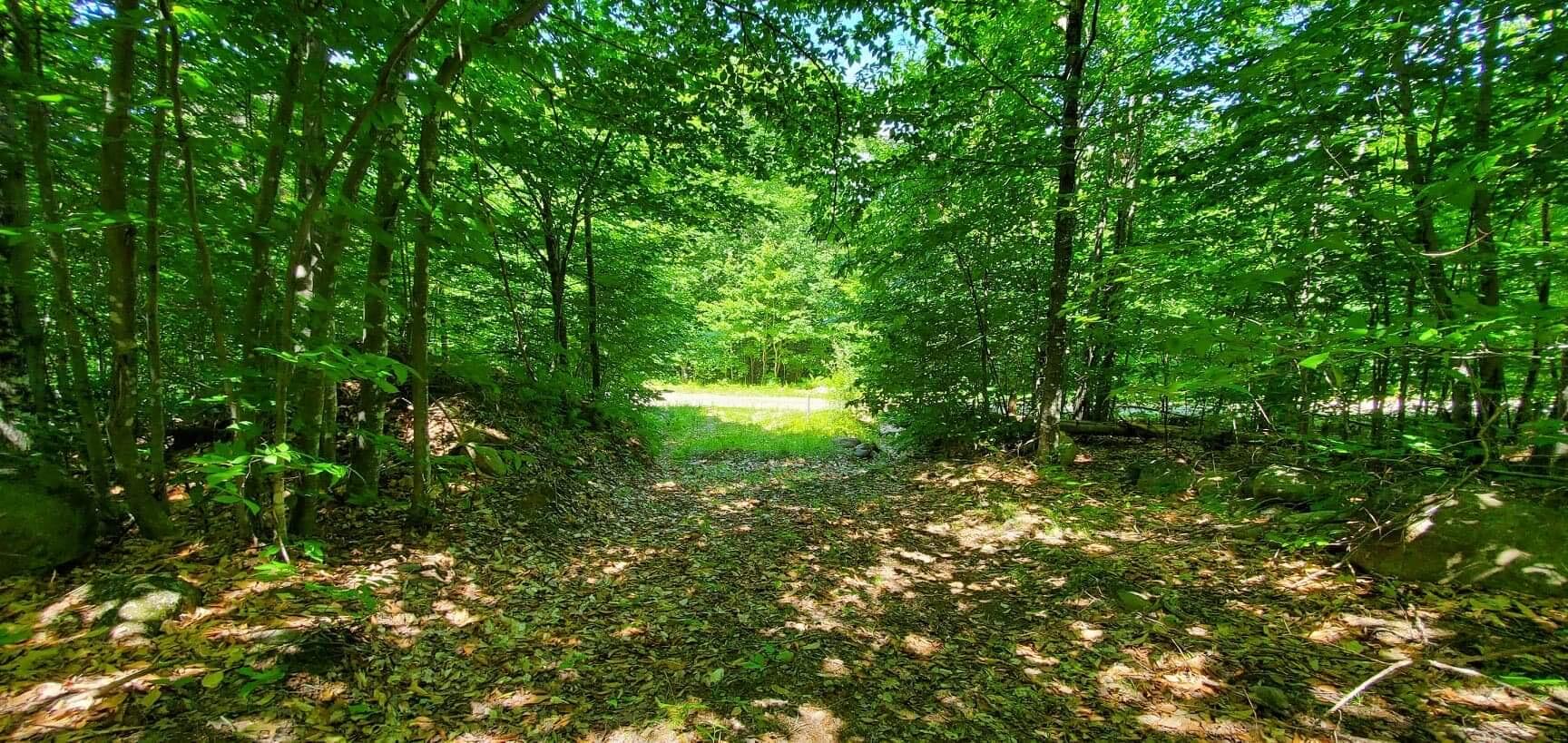 Lot 32 North Look Road New Vineyard, ME 04956 - Photo 6 of 11 D7087C41-855D-49E5-AC55-837C95E12D83