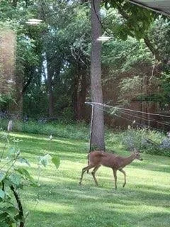 $649,999 | 2363 South Seminole Highway, Fitchburg, WI 53593