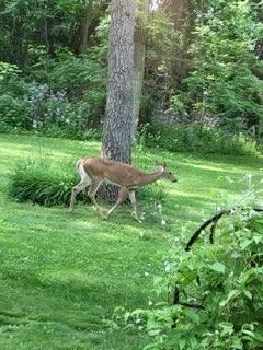 $649,999 | 2363 South Seminole Highway, Fitchburg, WI 53593