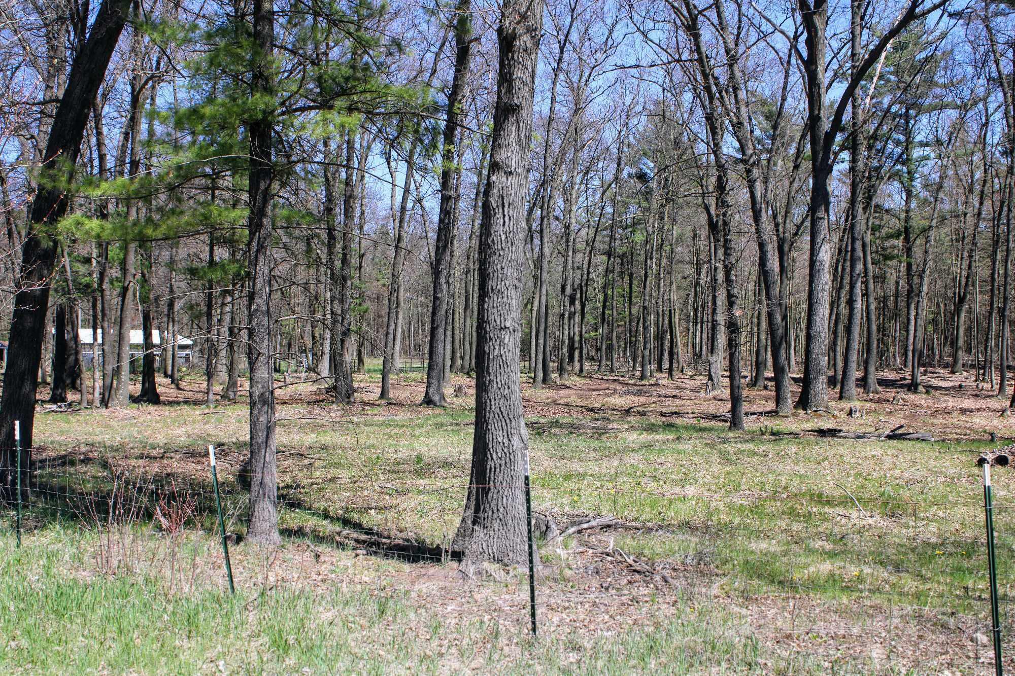 5232 Automobile Road Muskegon, MI 49445 - Photo 52 of 55 440010718_1343915466274249_8386905659621