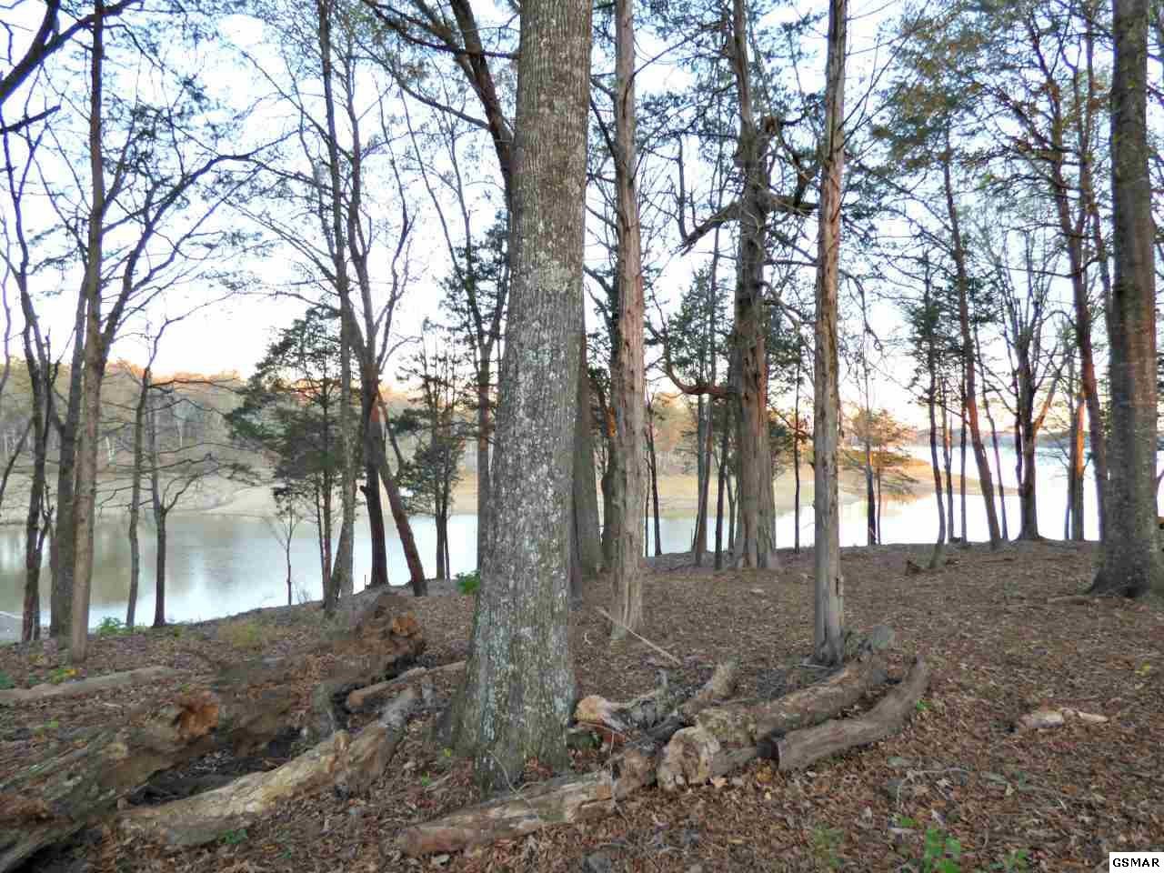 125 Ridge Point Trail Dandridge, TN 37725 - Photo 9 of 17 Gallery Image 9