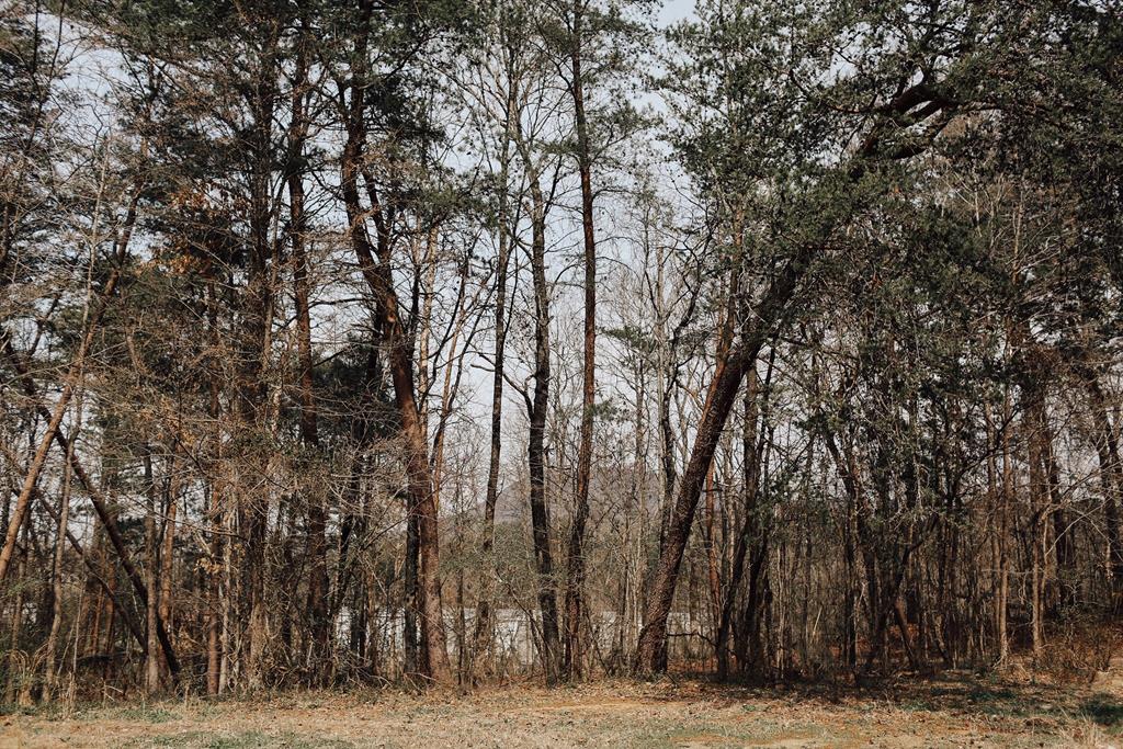 154 Silvers Road Chatsworth, GA 30705 - Photo 9 of 13 Gallery Image 9