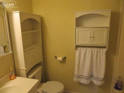11125 Carpenter Road Flushing, MI 48433 - Photo 15 of 20 20421887-14.JPG