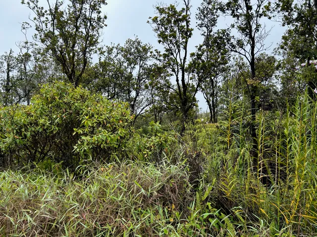 $36,500 | 11-2013 Lot 31 Kaleponi Drive, Pahoa, HI 96778