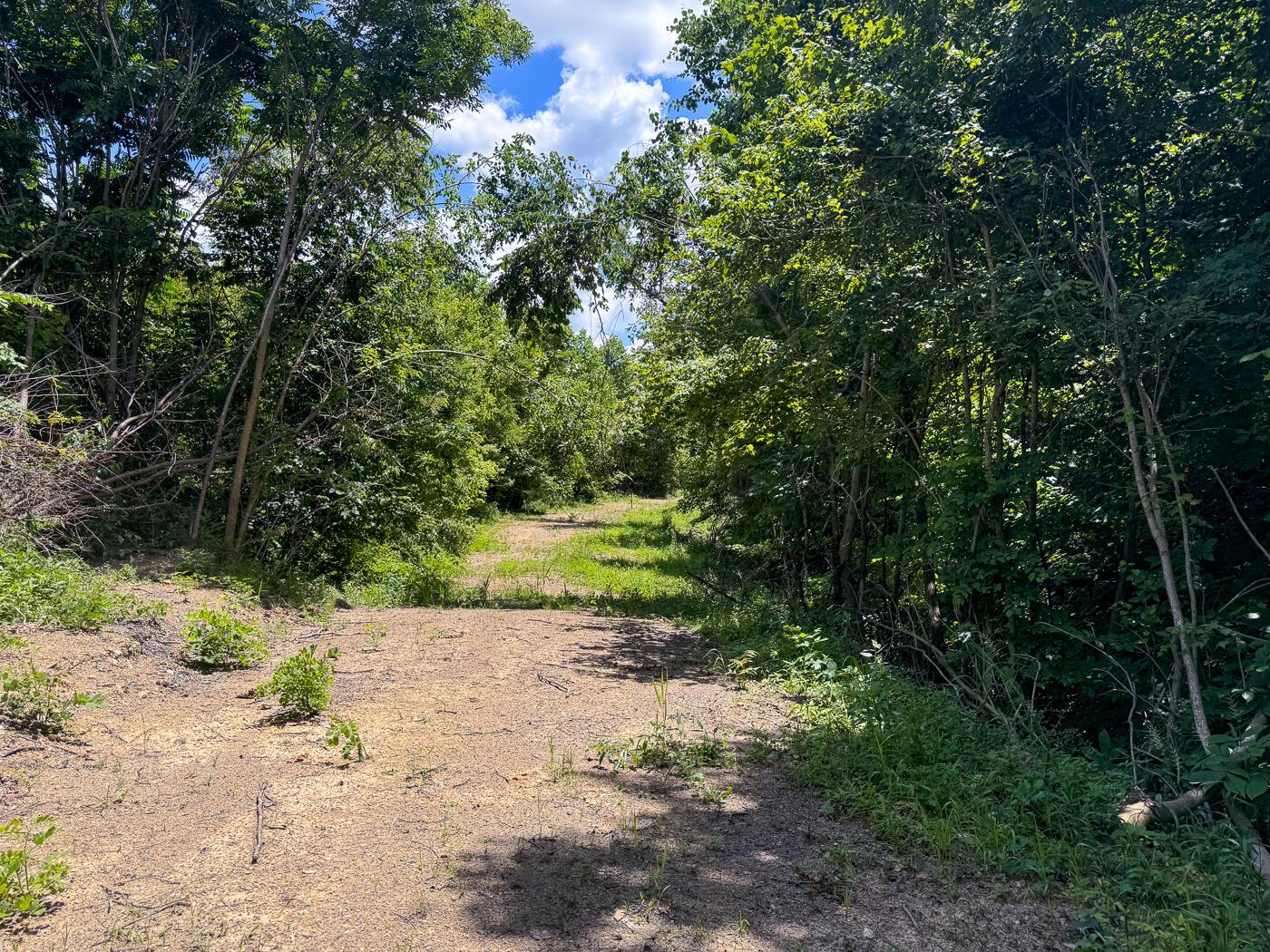 4313 Flint Ridge Road Northeast, Unit INT RIDGE TRACT 18 ACRE) Crooksville, OH 43731 - Photo 6 of 53 CT-5