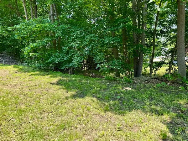 a view of yard with green space