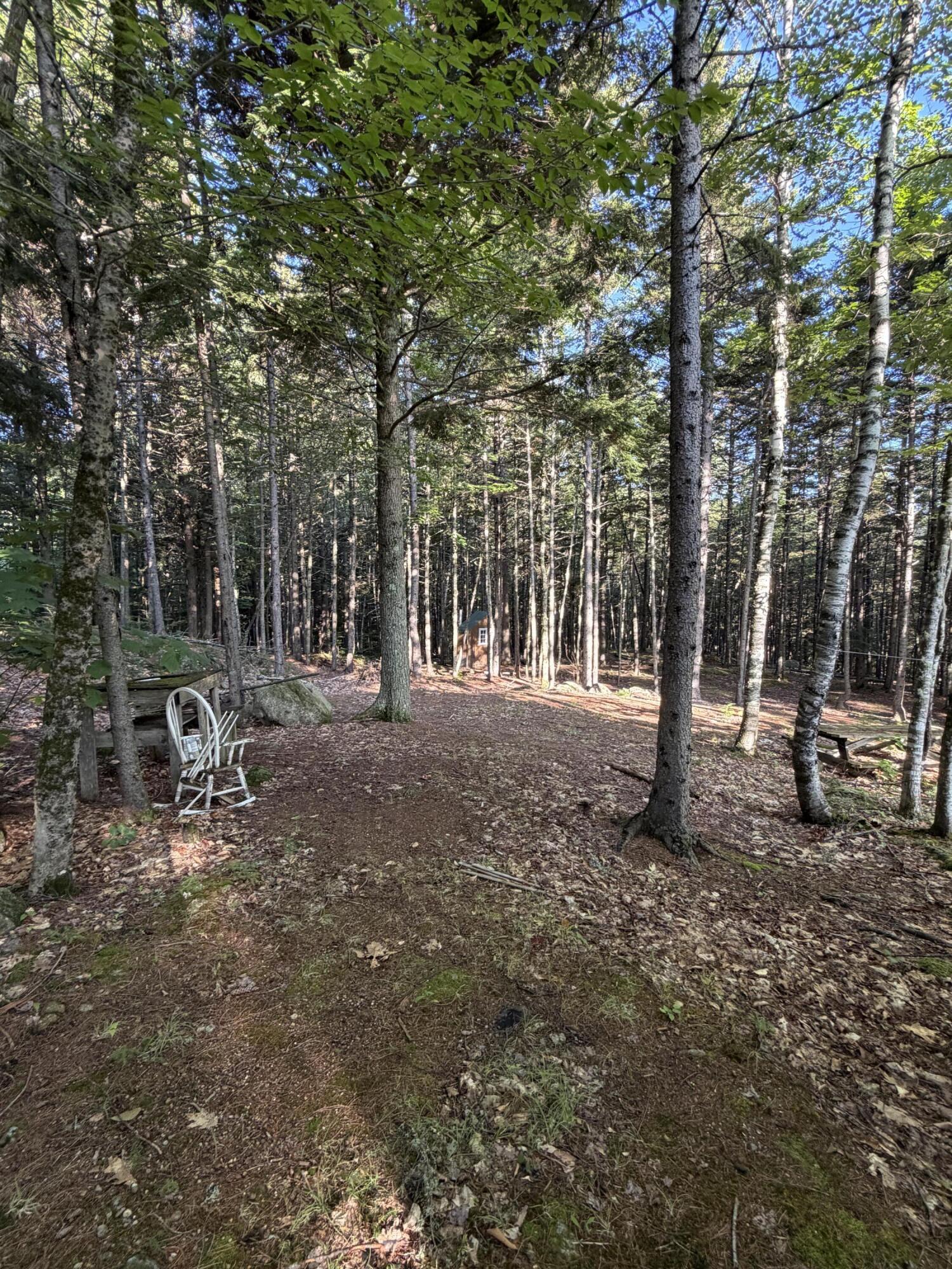 322 Lamb Road Roxbury, ME 04275 - Photo 10 of 42 IMG_0832