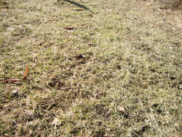 347 Ballinger Road Falmouth, KY 41040 - Photo 19 of 22 Gallery Image 19