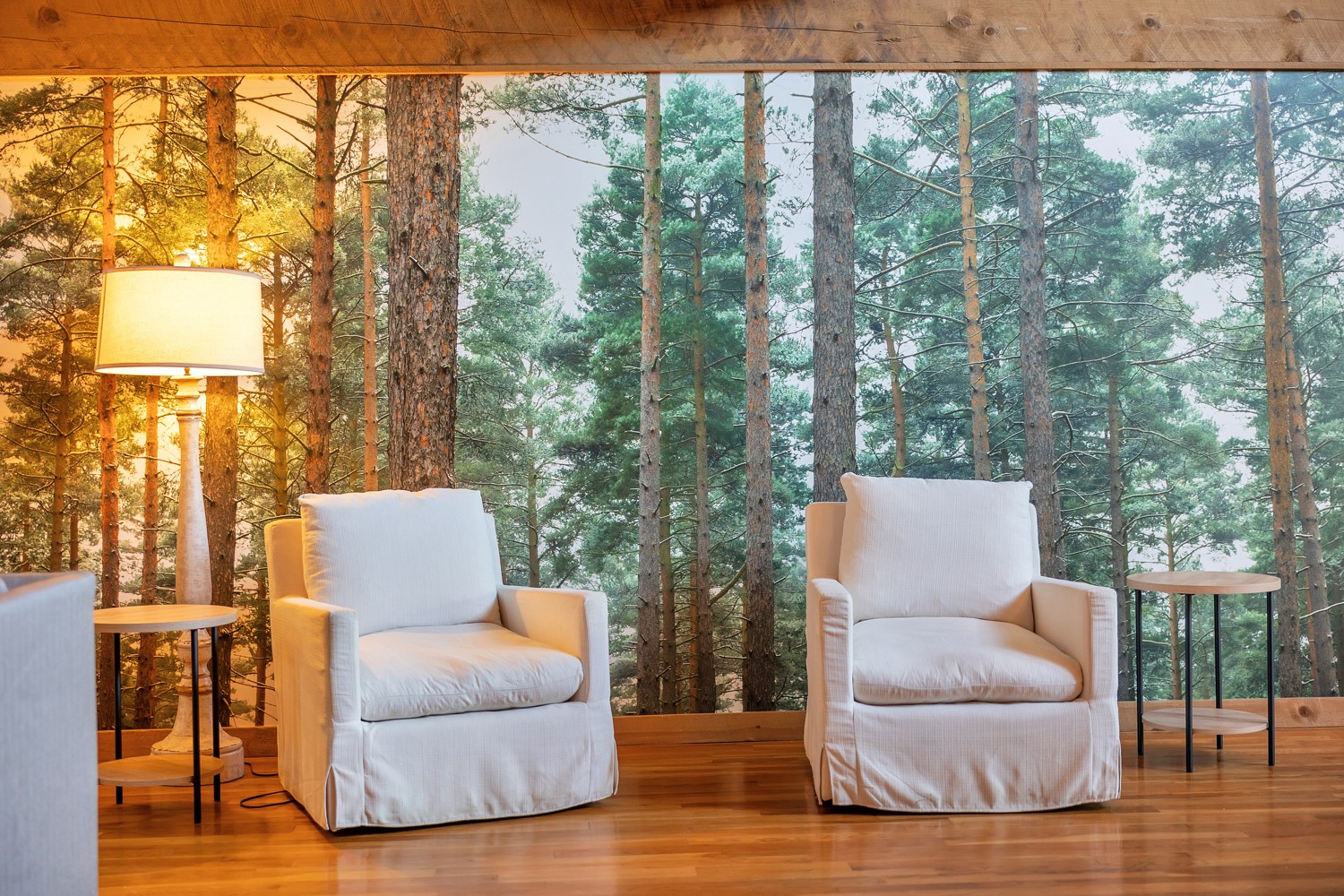 8265 Guthrie Road Cross Plains, TN 37049 - Photo 19 of 83 a outdoor living space with furniture and a garden