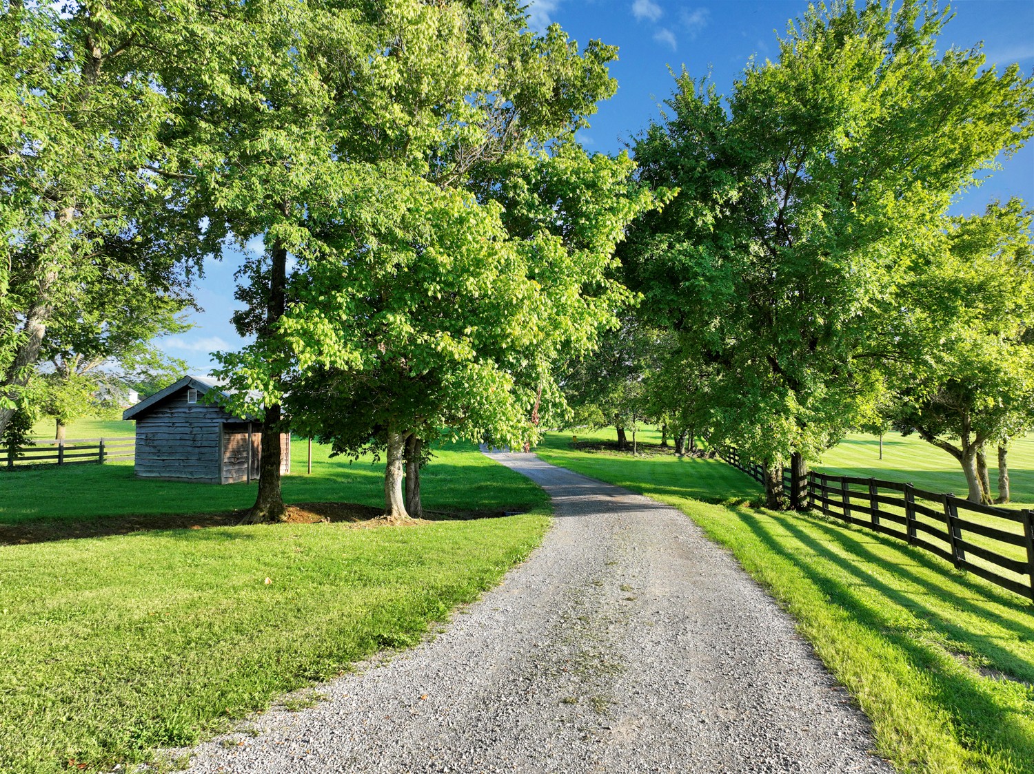 8265 Guthrie Road Cross Plains, TN 37049 - Photo 73 of 83 a view of a park with large trees