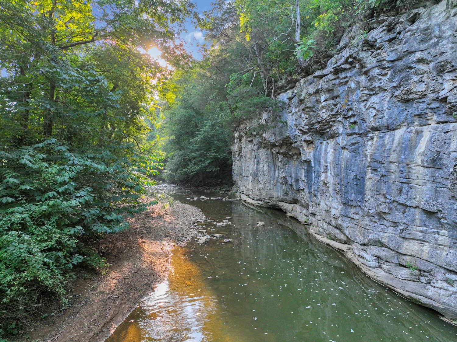 8265 Guthrie Road Cross Plains, TN 37049 - Photo 74 of 83 a view of a water pond with green space