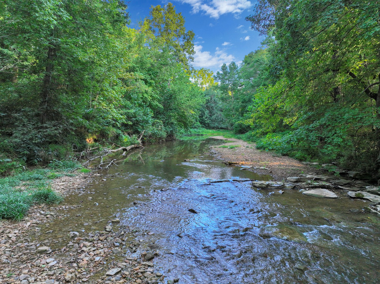 8265 Guthrie Road Cross Plains, TN 37049 - Photo 75 of 83 a view of a road with a yard